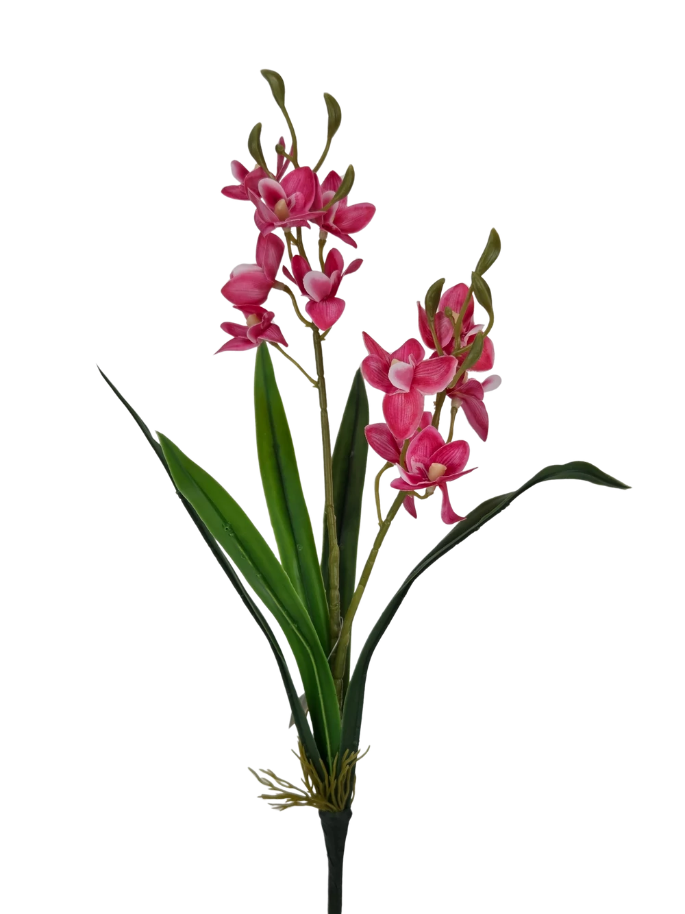 Mini orchidea levéllel - Pink
