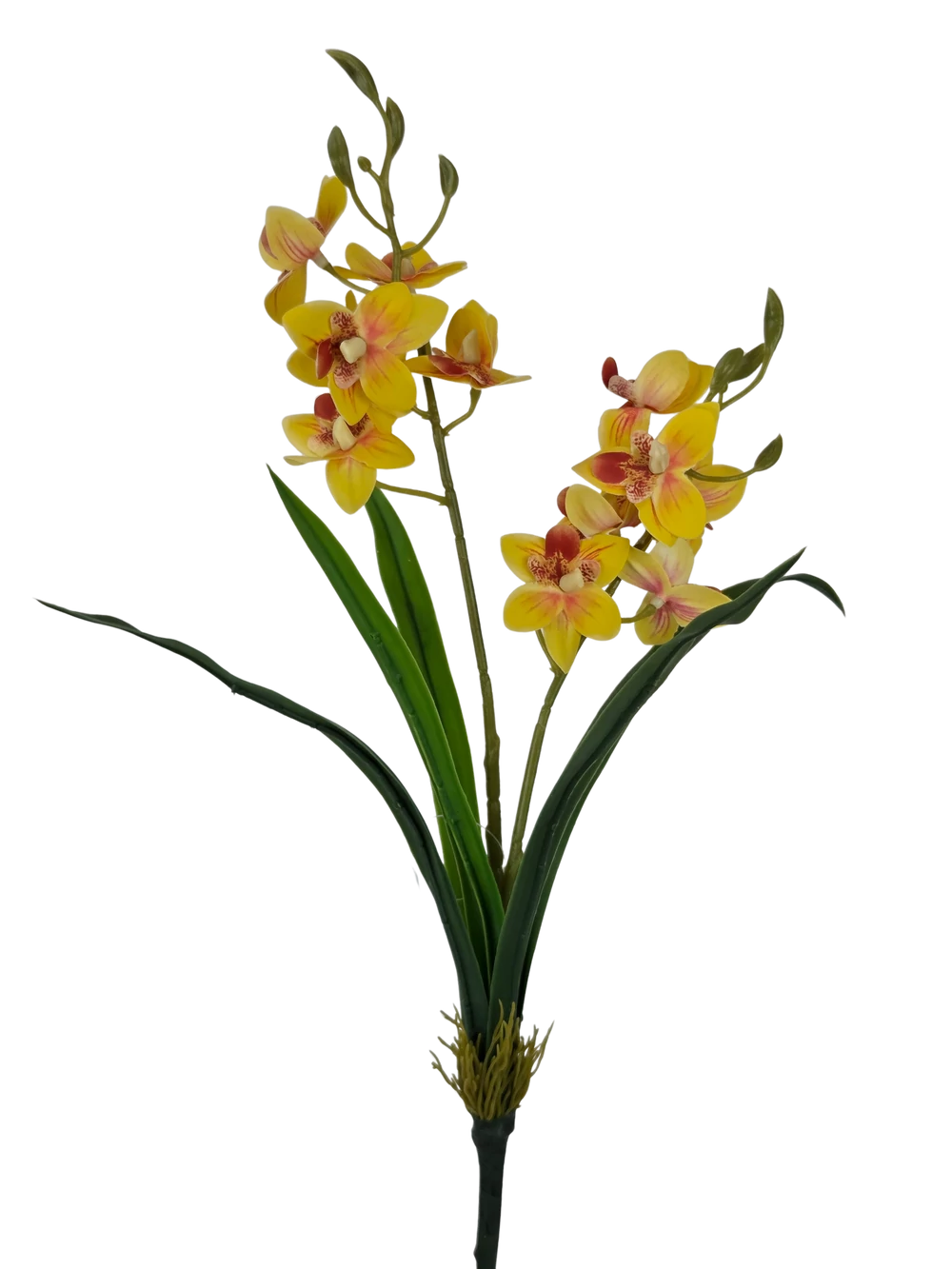Mini orchidea levéllel - Sárga