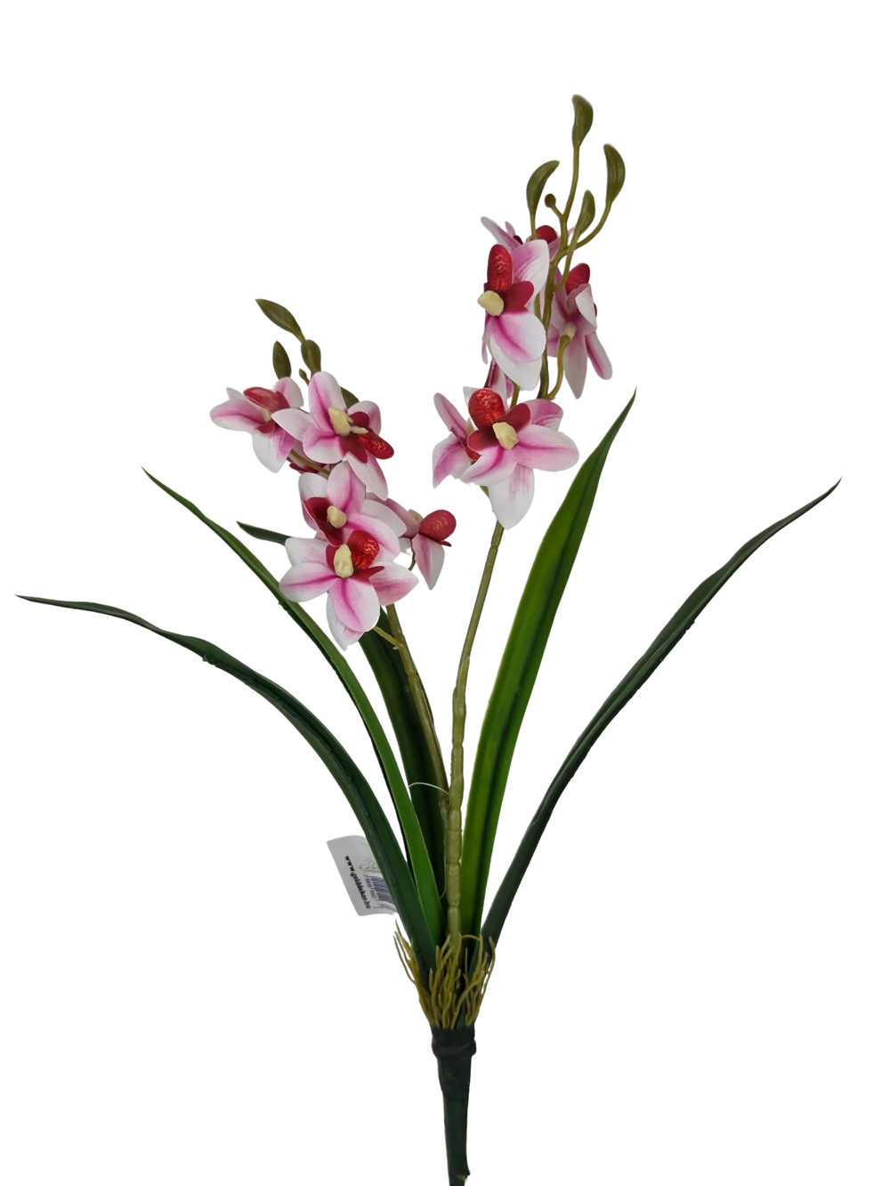 Mini orchidea levéllel - Cirmos pink