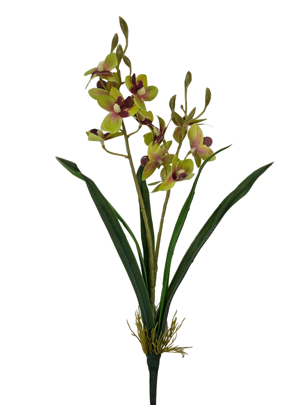 Mini orchidea levéllel - Zöld