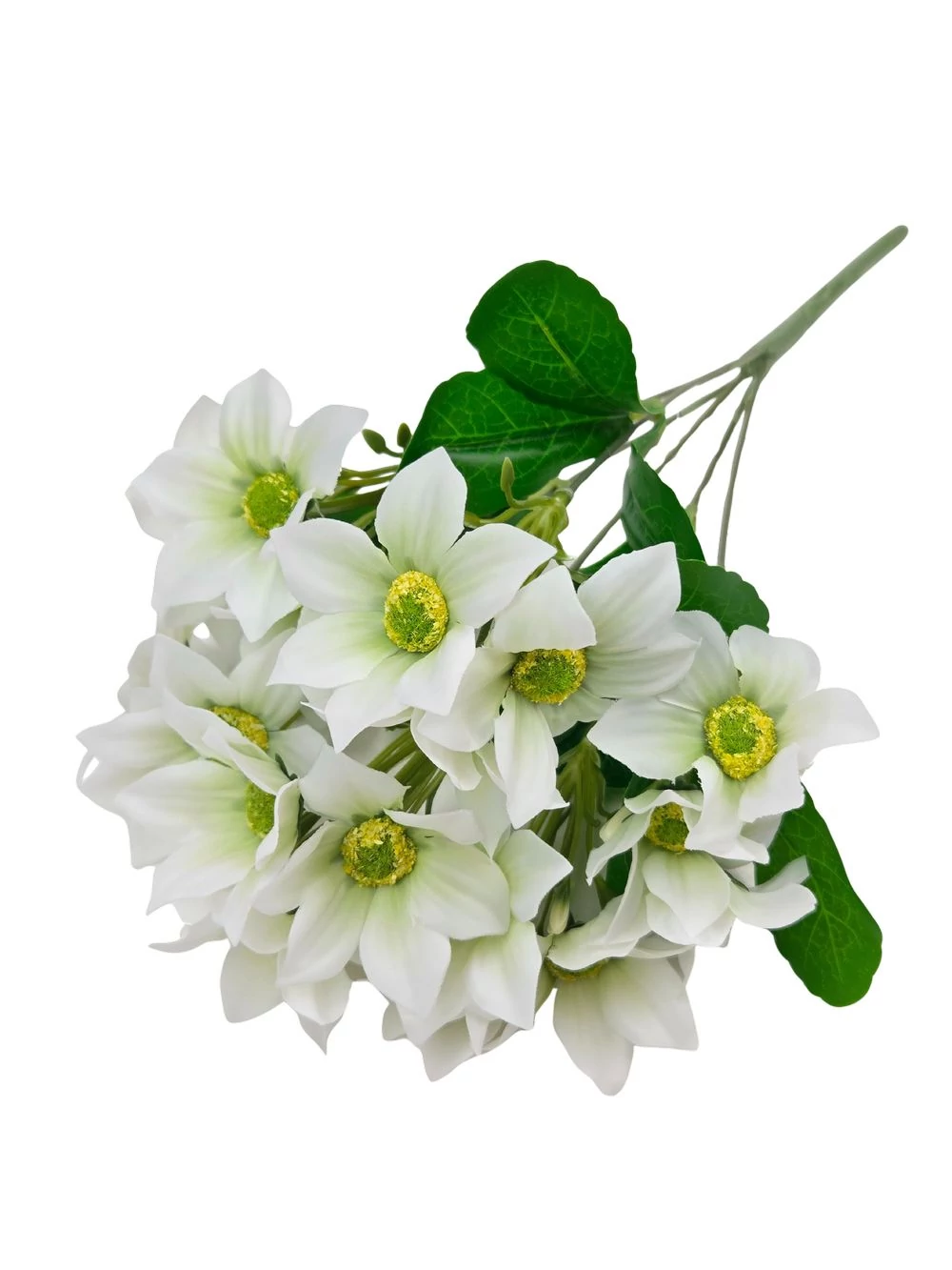 Nebáncsvirág csokor A - Fehér