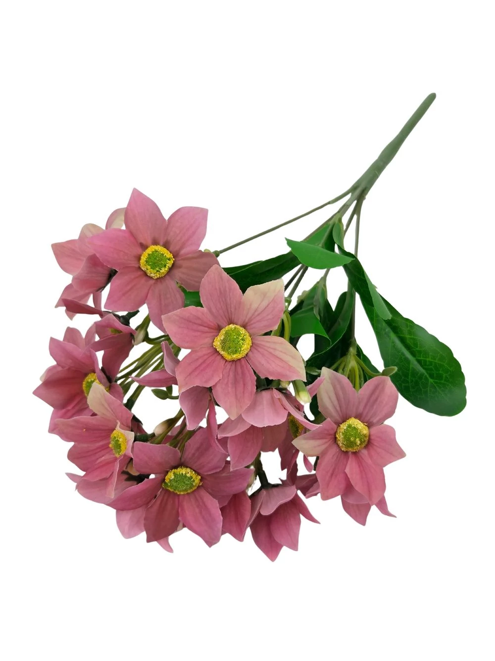 Nebáncsvirág csokor A - Világos Mályva