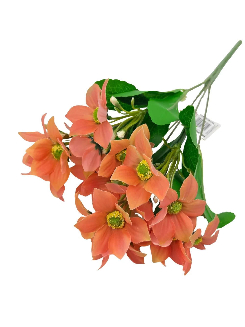 Nebáncsvirág csokor A - Narancs