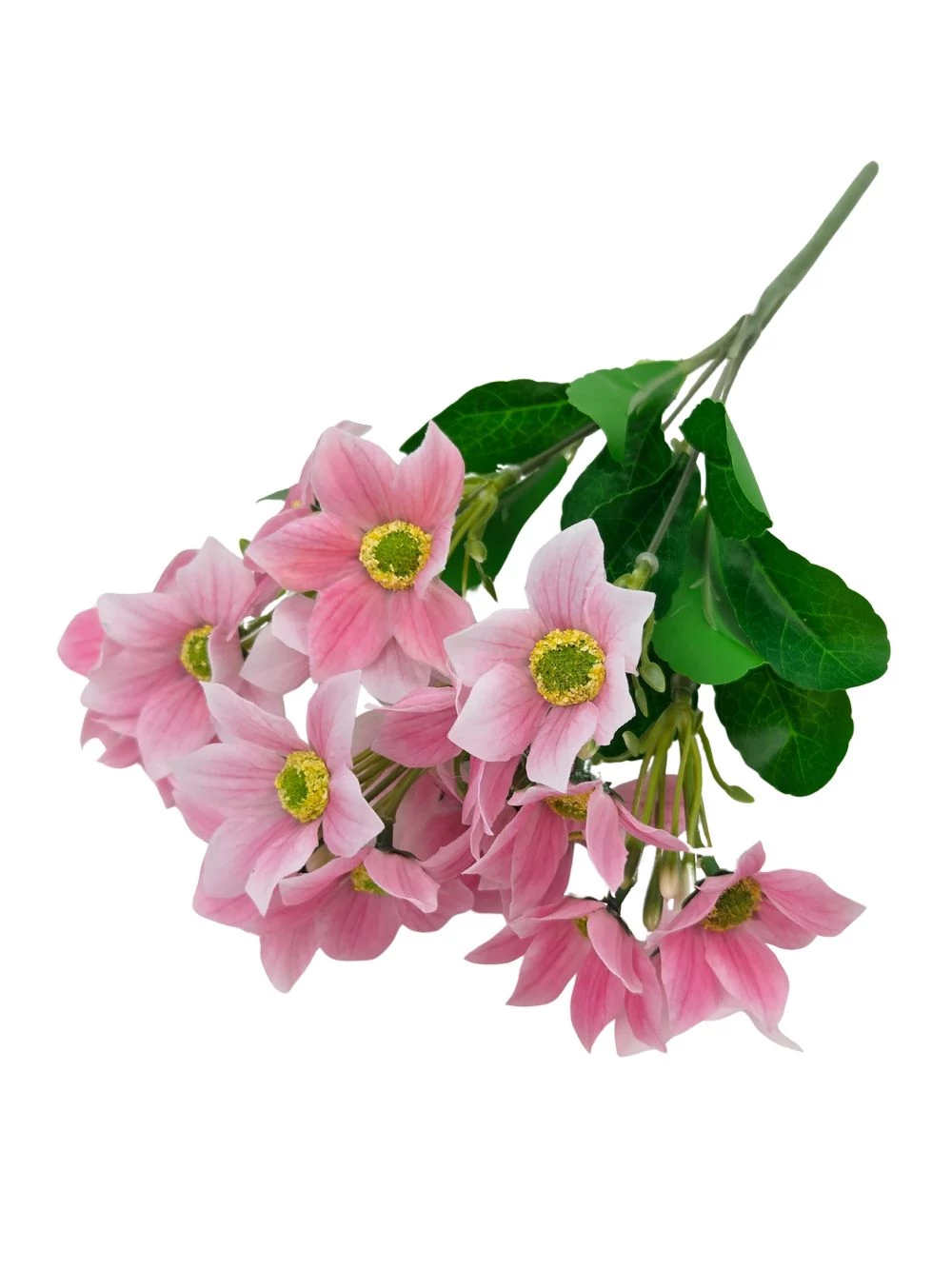 Nebáncsvirág csokor A - Rózsaszín