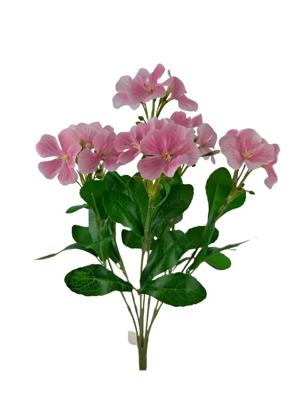 Nebáncsvirág csokor B - Rózsaszín