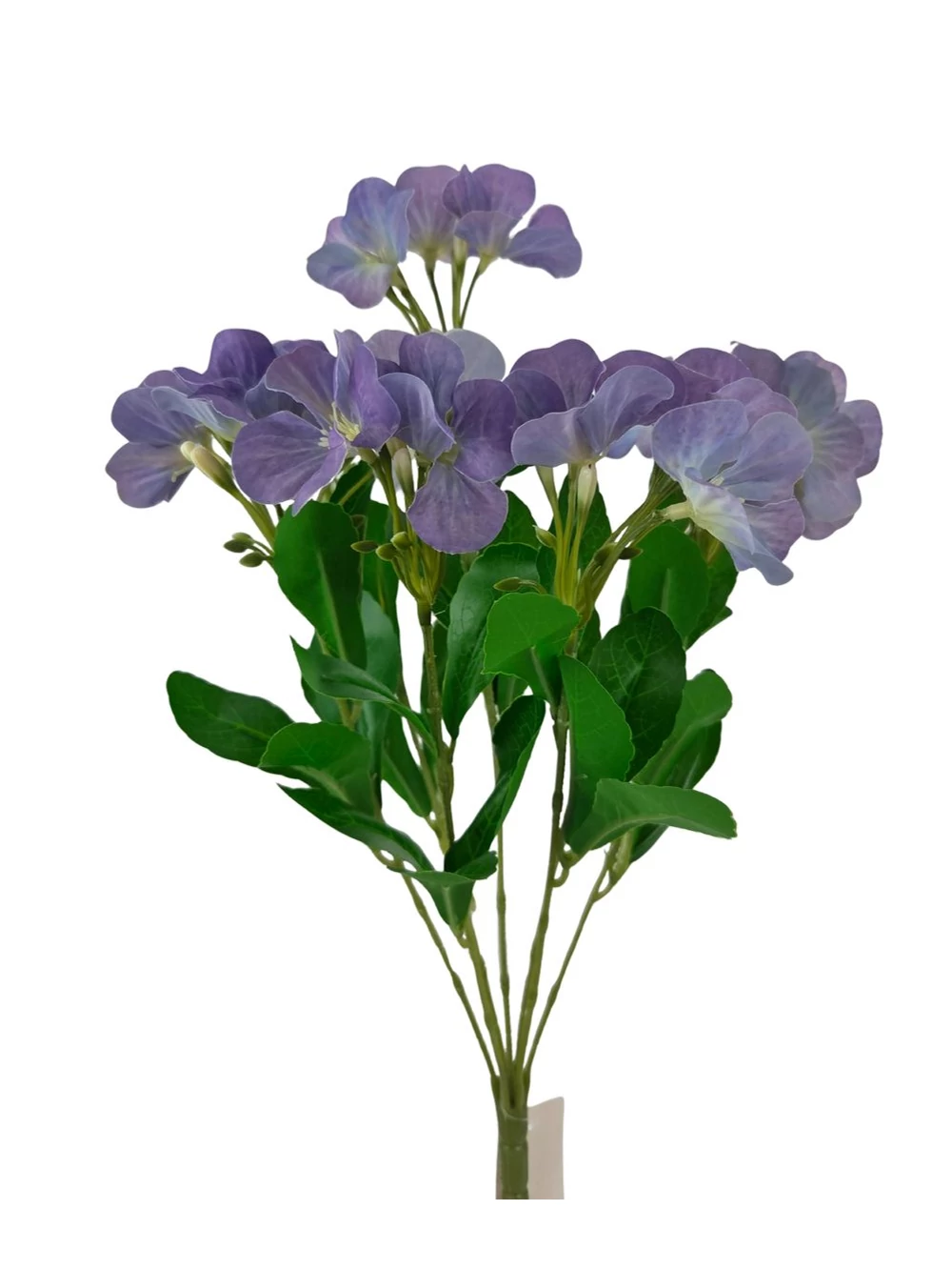 Nebáncsvirág csokor B - Lila