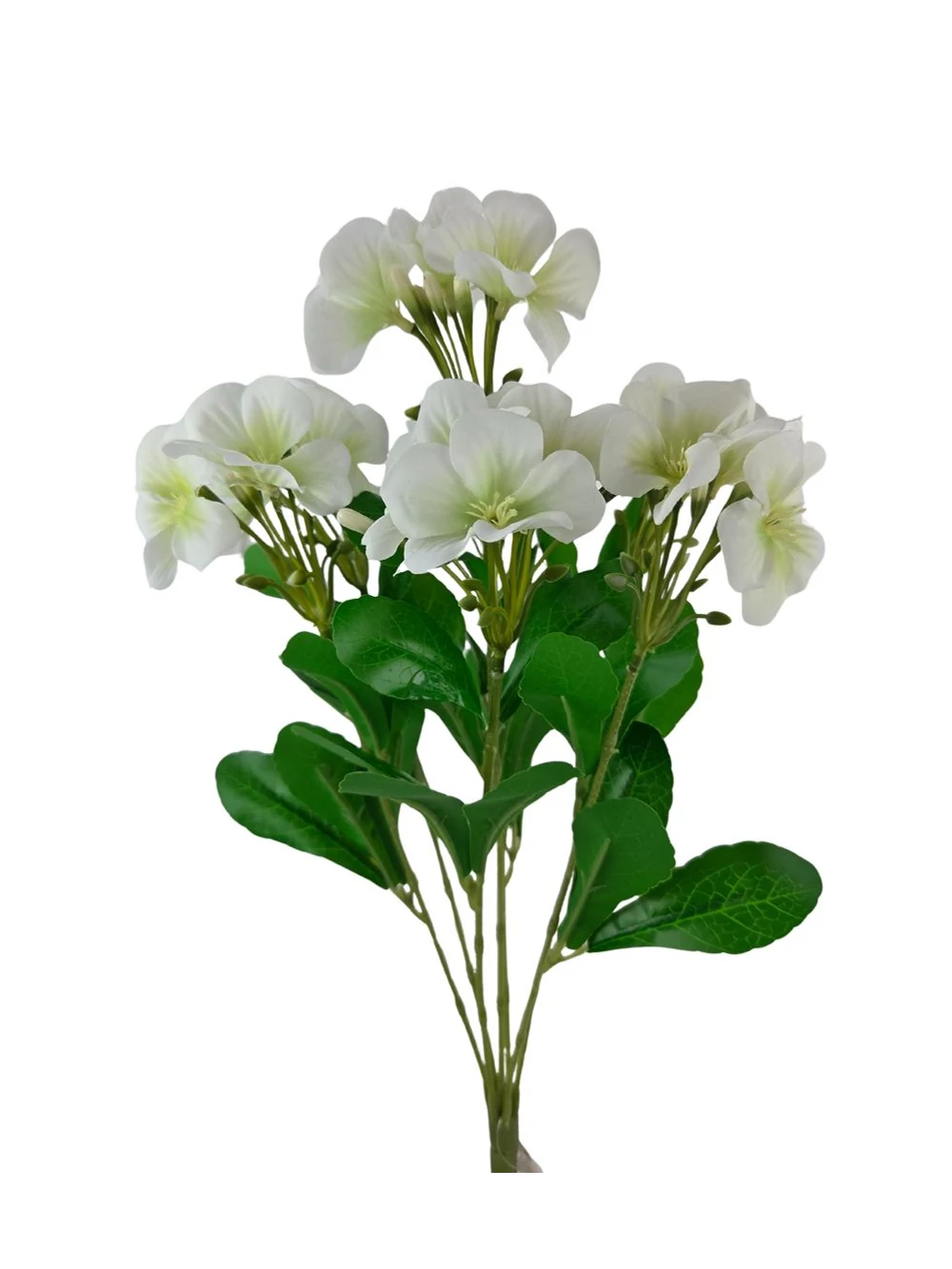 Nebáncsvirág csokor B - Fehér