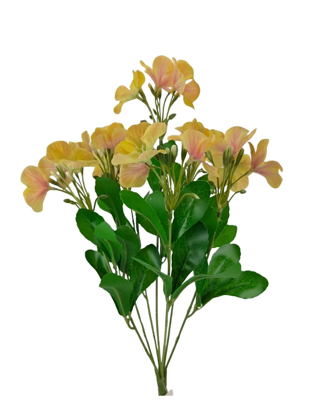 Nebáncsvirág csokor B - Sárga