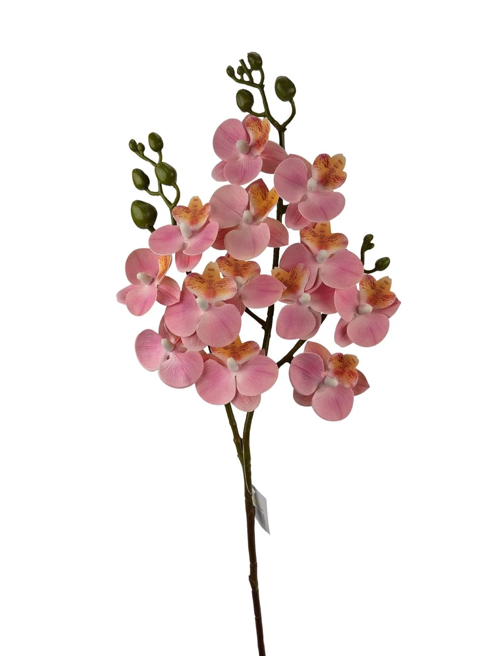 Szálas phalenopsis midi B - Rózsaszín