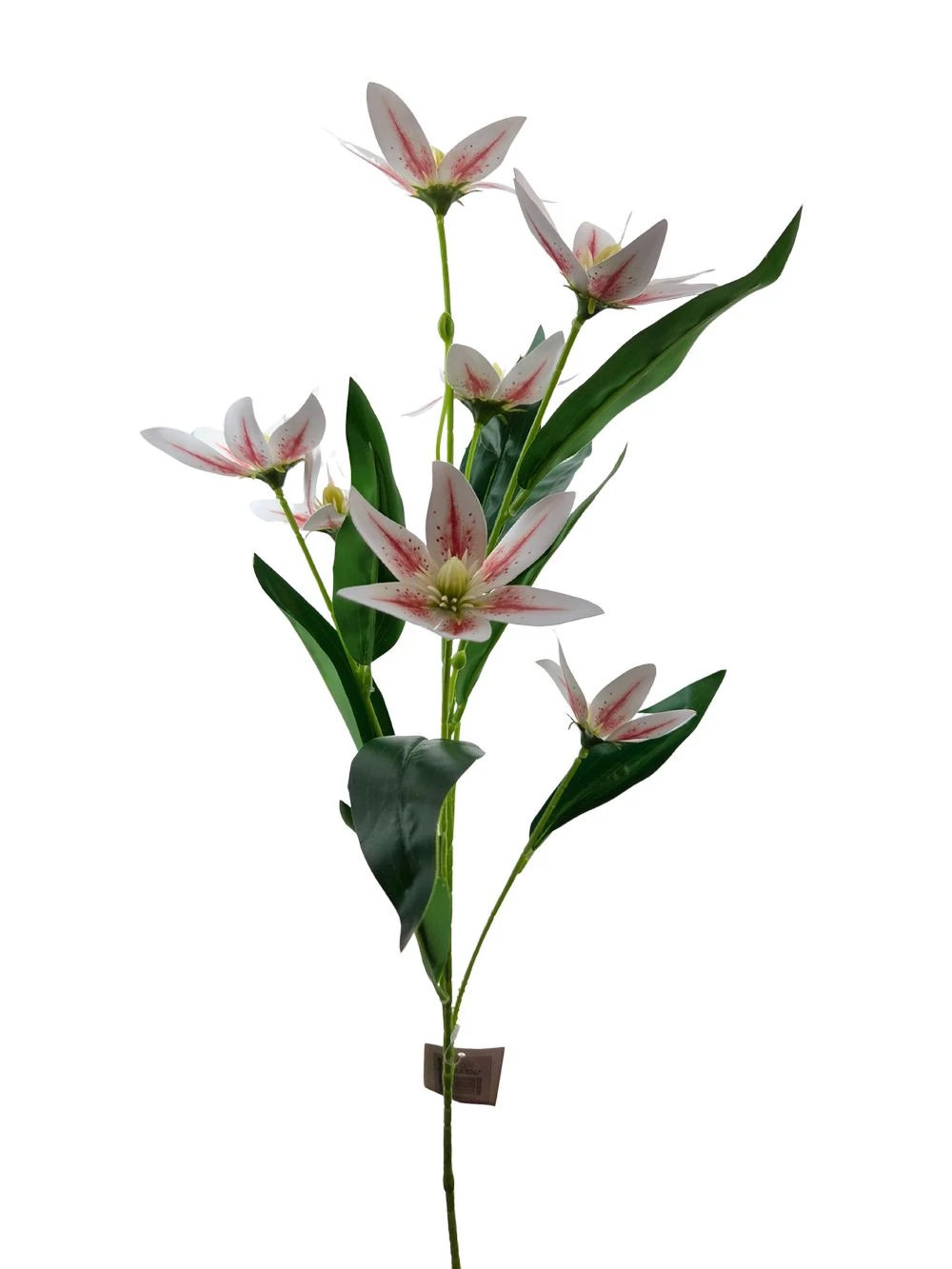 Virágos ág 17 - Cirmos