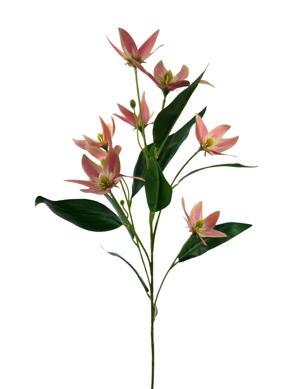 Virágos ág 17 - Barack