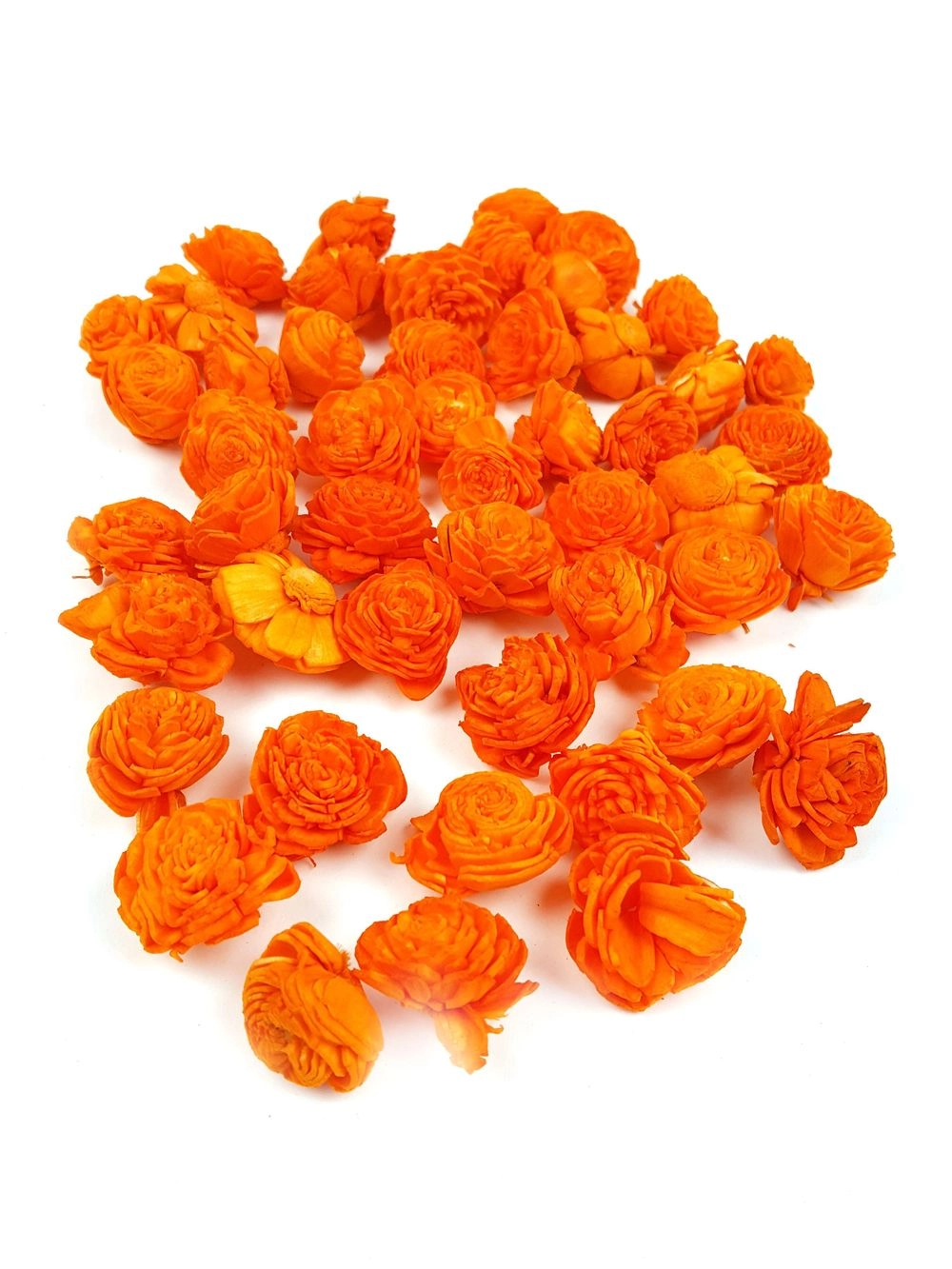 Shola belly virág-Kicsi  Narancs