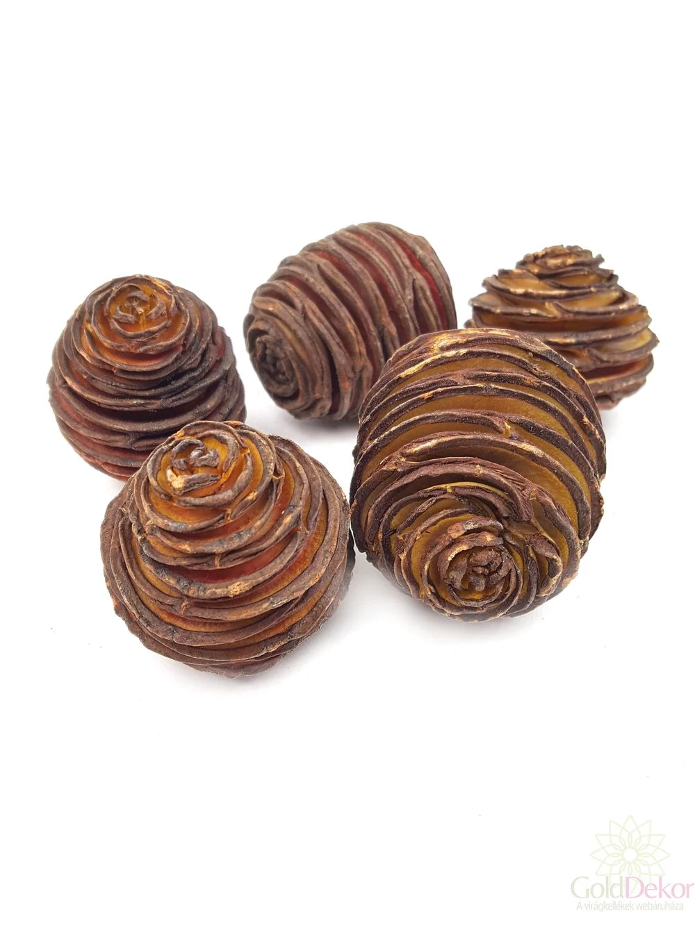 Plattyspermum közepes - Natúr