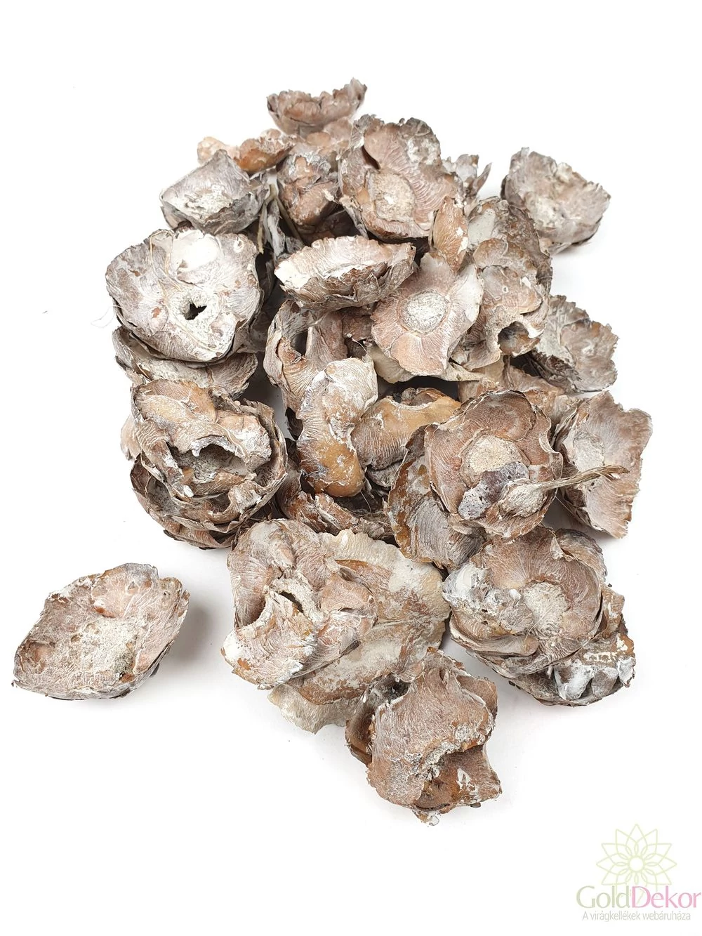 Coco flower - Hamvas