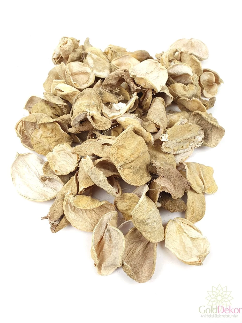 Land lótusz - Fehér