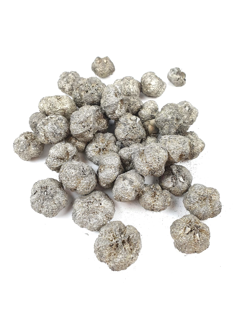 Fokhagyma termés - Pezsgő