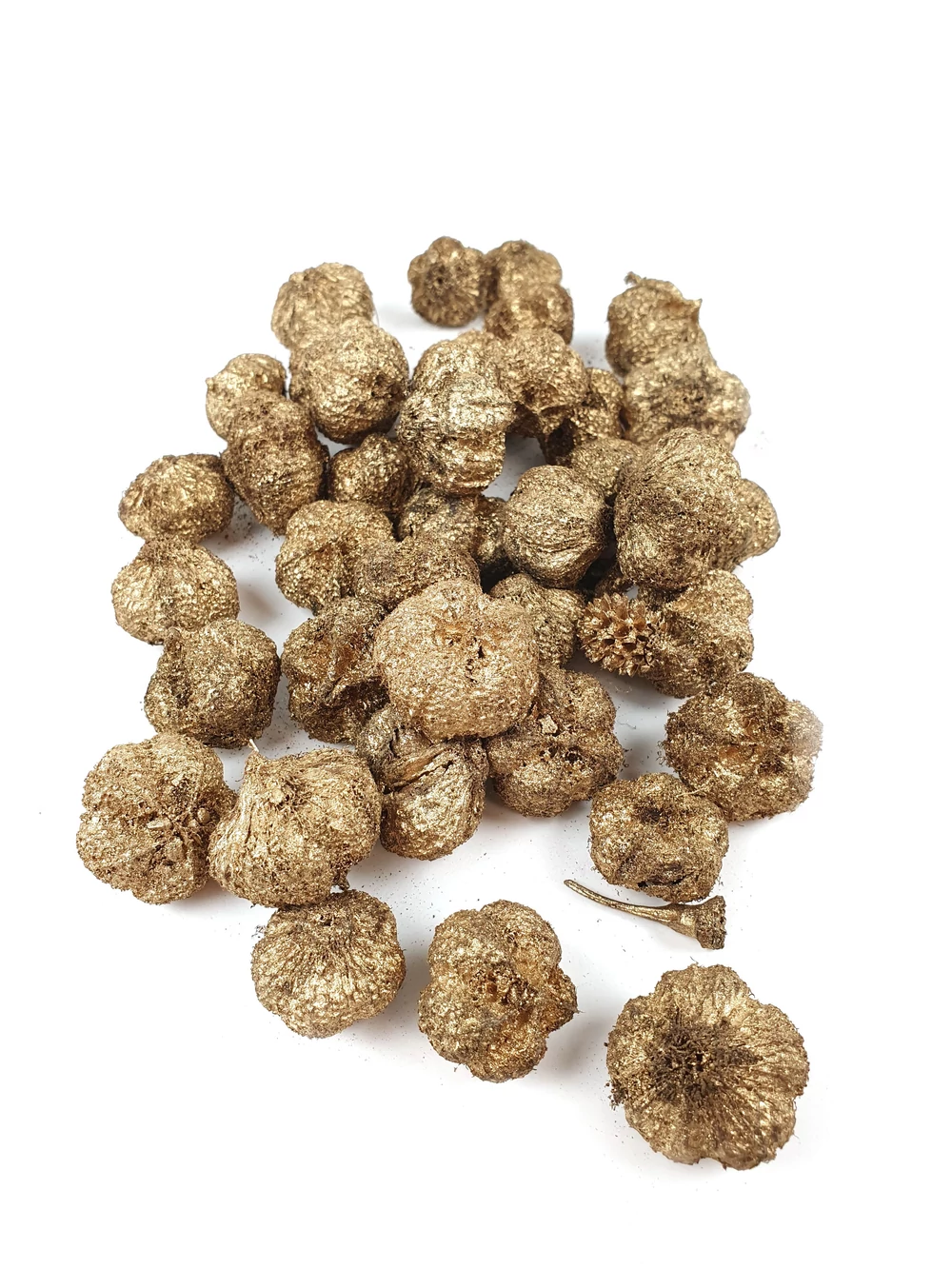 Fokhagyma termés - Arany