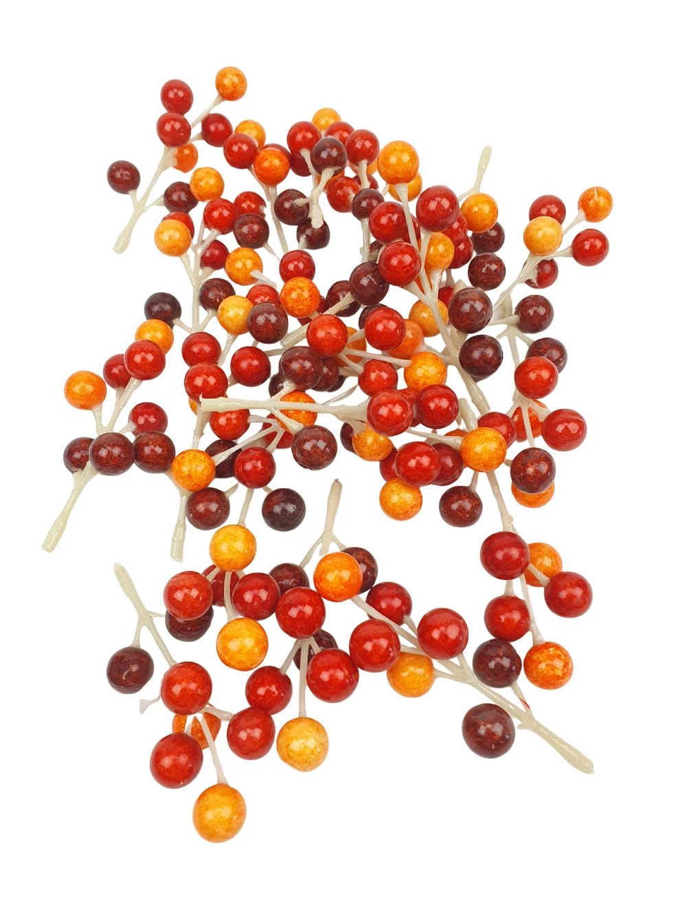 Őszi vegyes színű fürt bogyó Őszi vegyes színű fürt bogyó