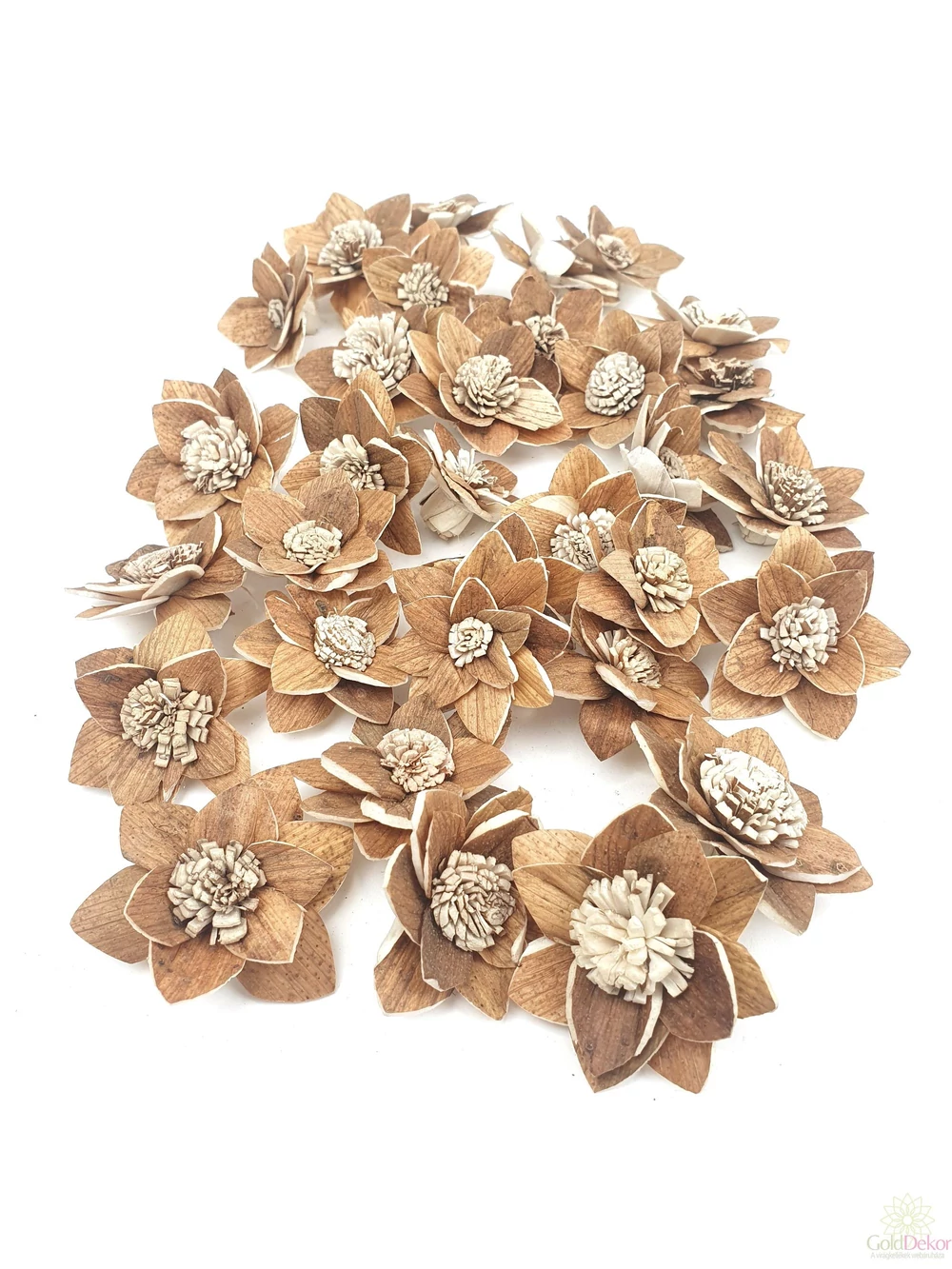 Shola Rukmani 4 cm skin