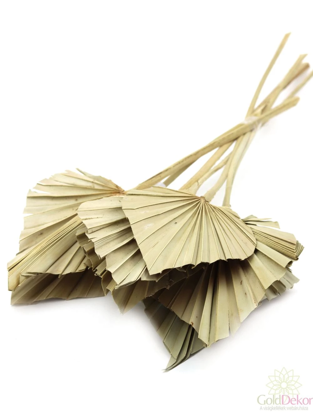 Pálma levél - Natúr Pálma levél - Natúr