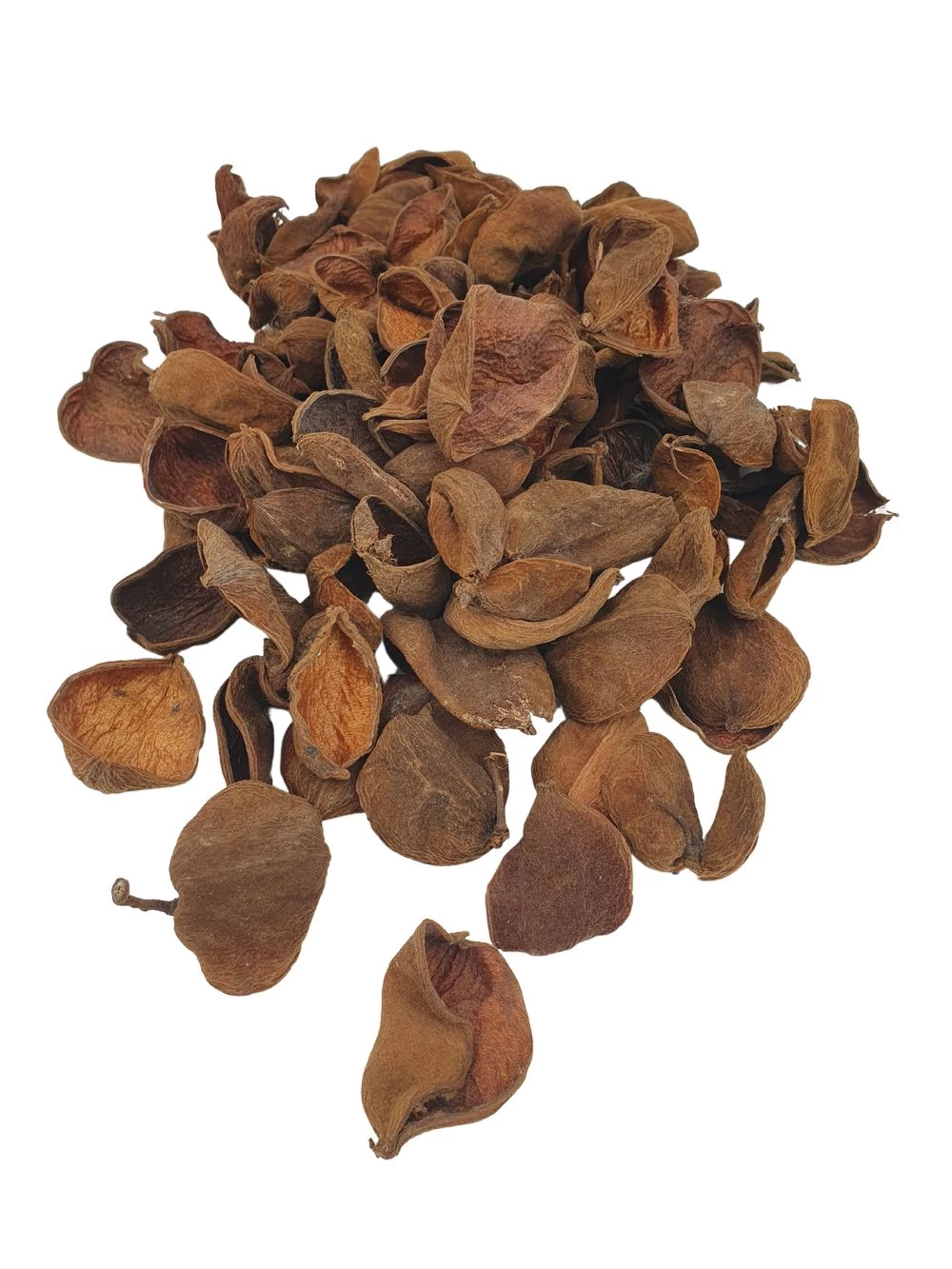 Land lótusz - Natúr