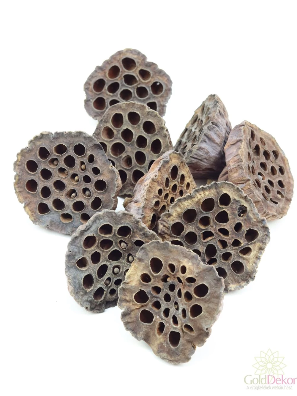 Lótusz nagy - Natúr Lótusz nagy - Natúr