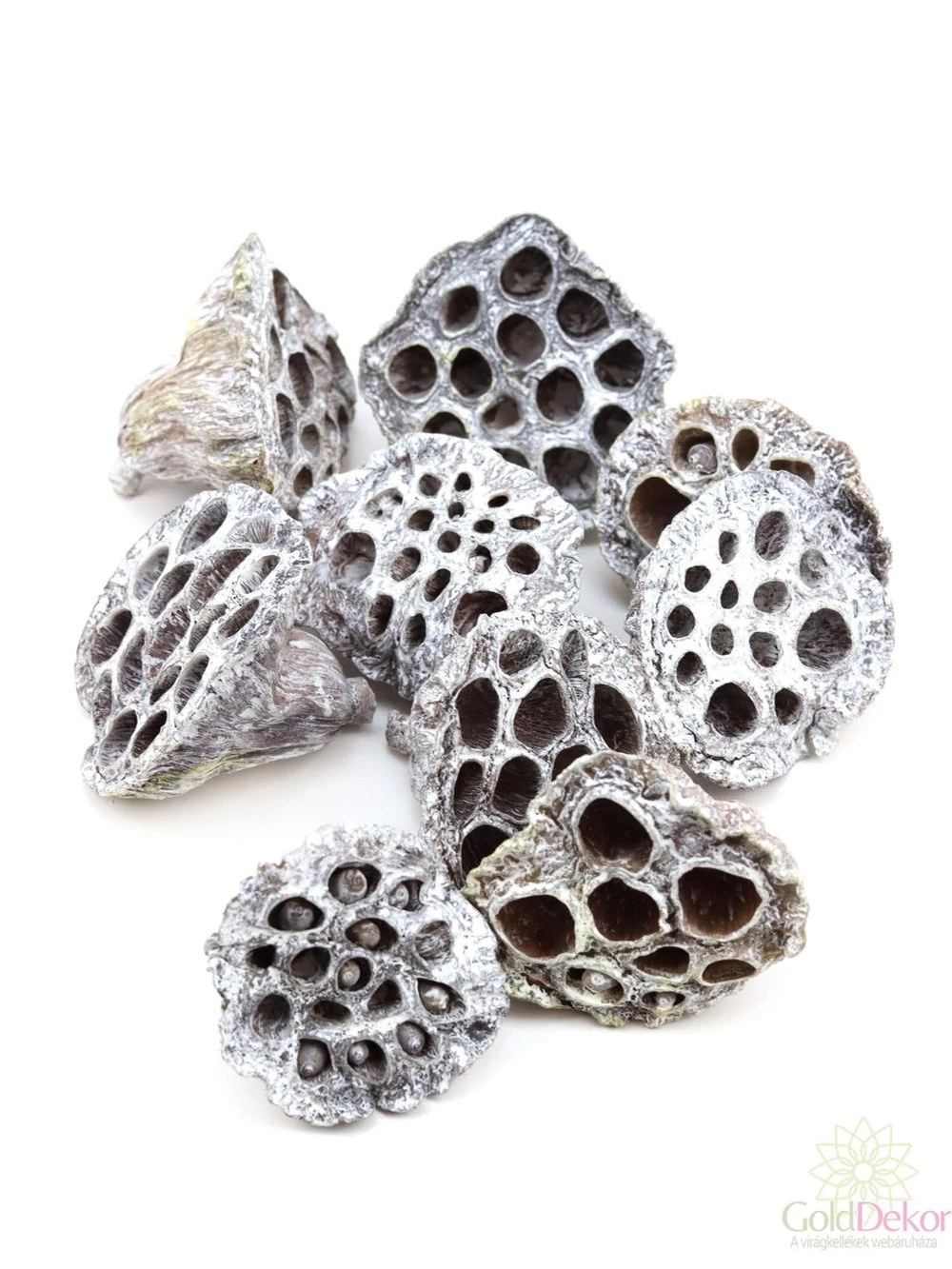 Lótusz kicsi - Hamvas