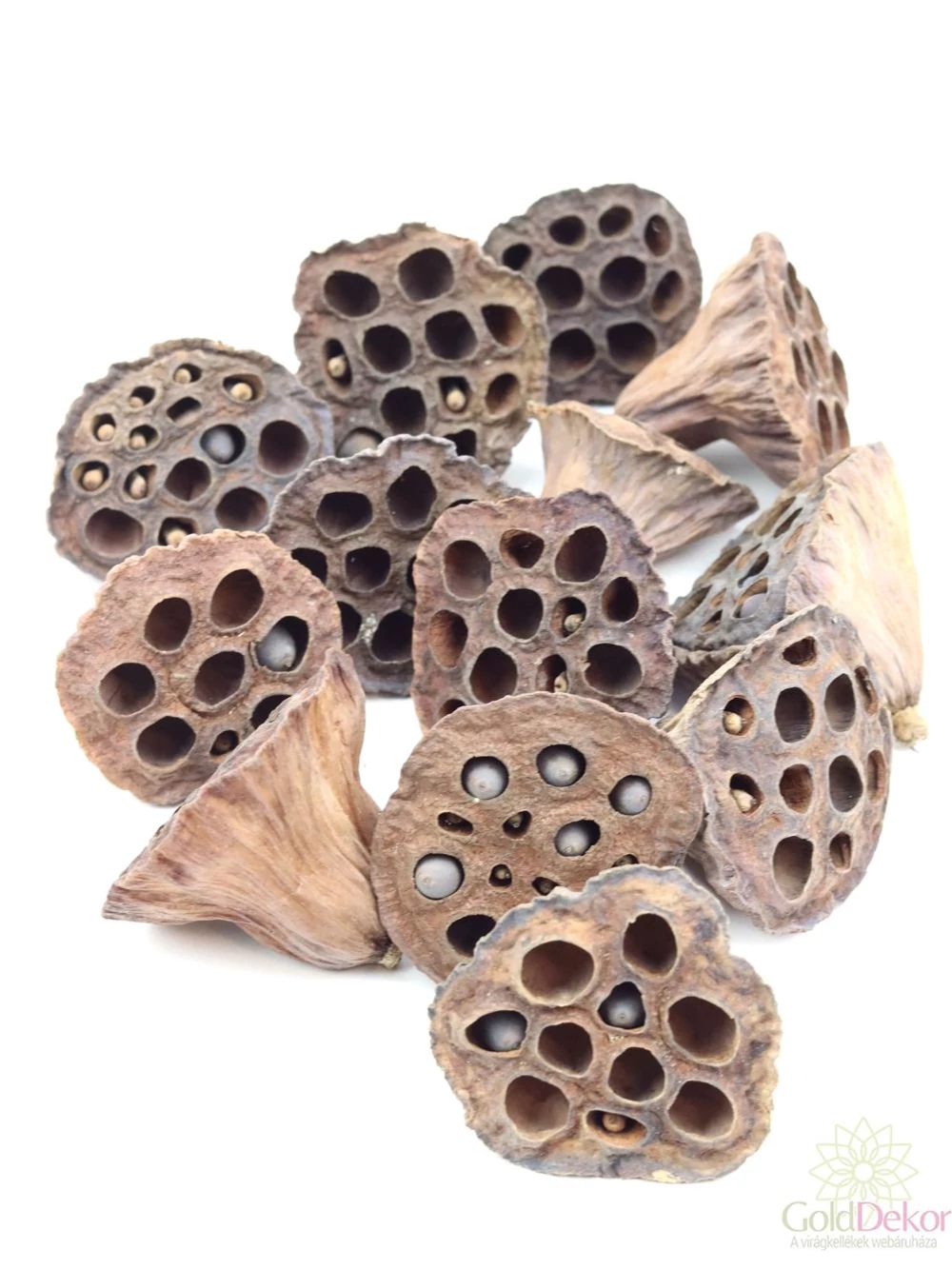 Lótusz kicsi - Natúr