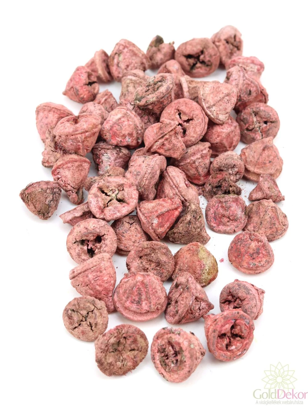 Eucalyptus termés - Hamvas piros