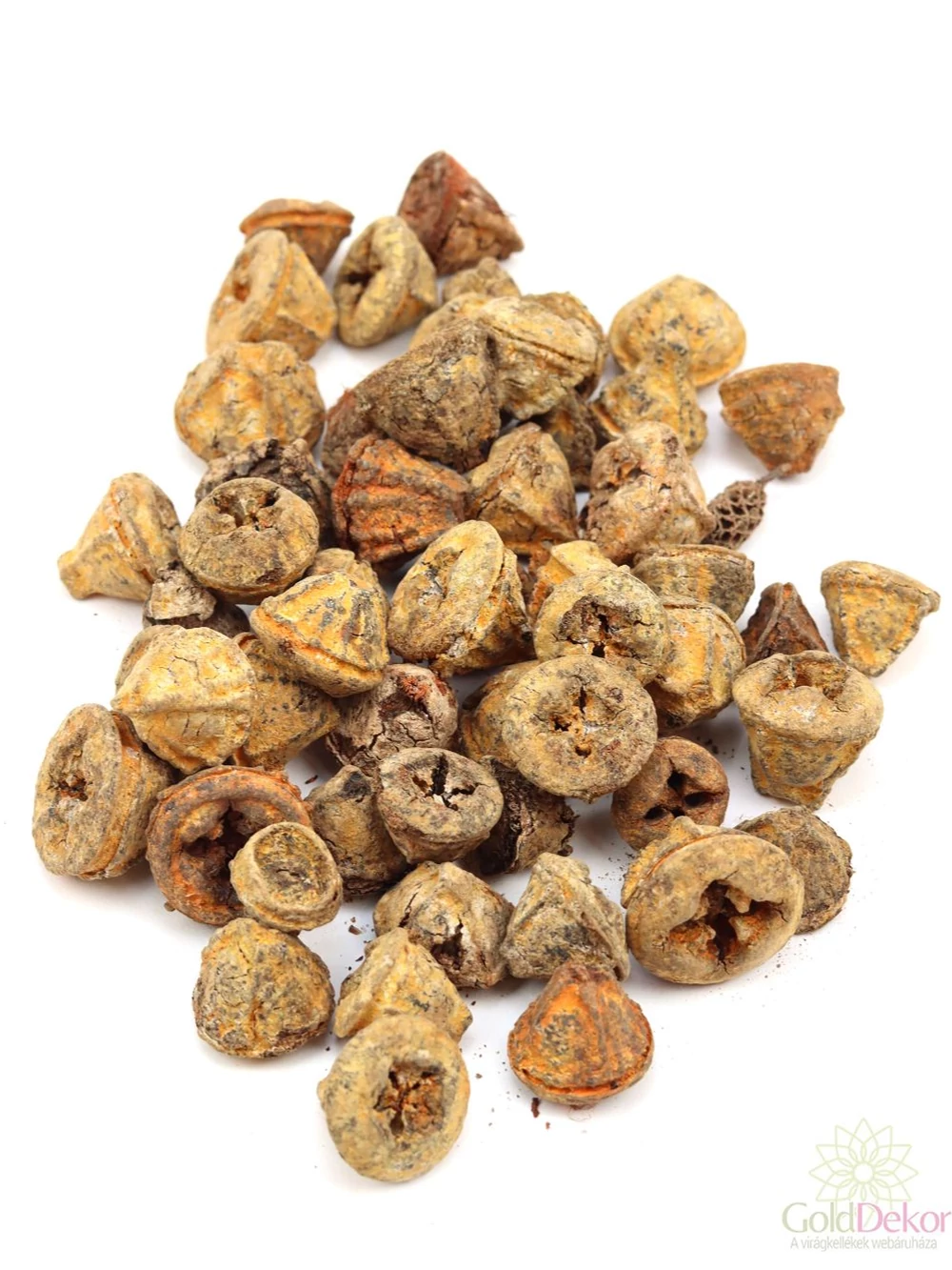 Eucalyptus termés - Hamvas narancs