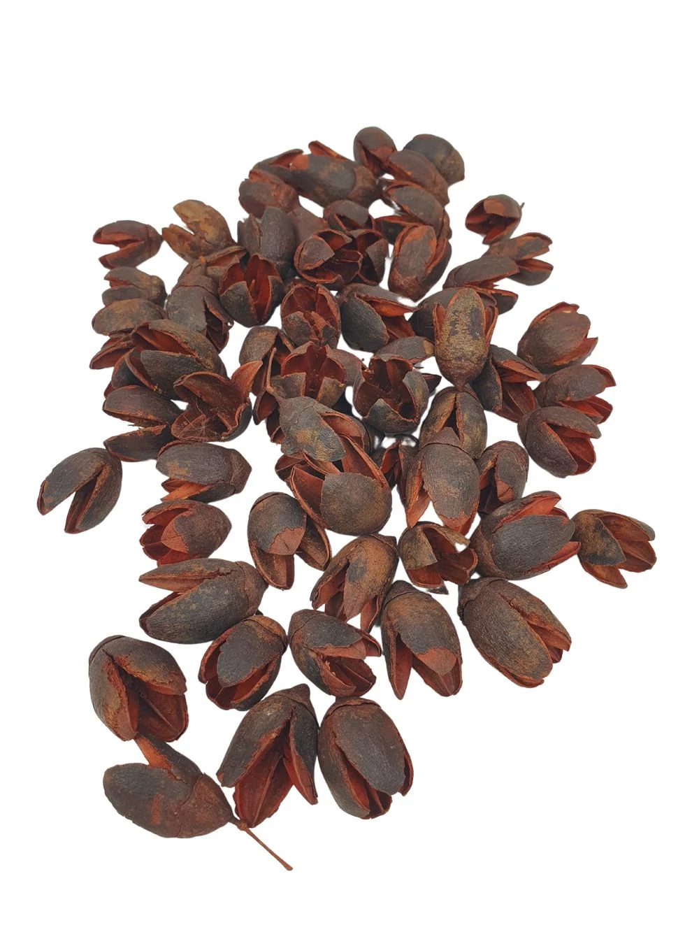 Bakuli - Terracotta