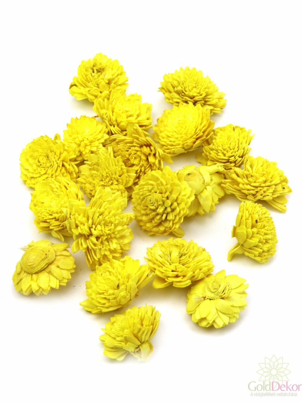 Shola zinnia virág - Sárga