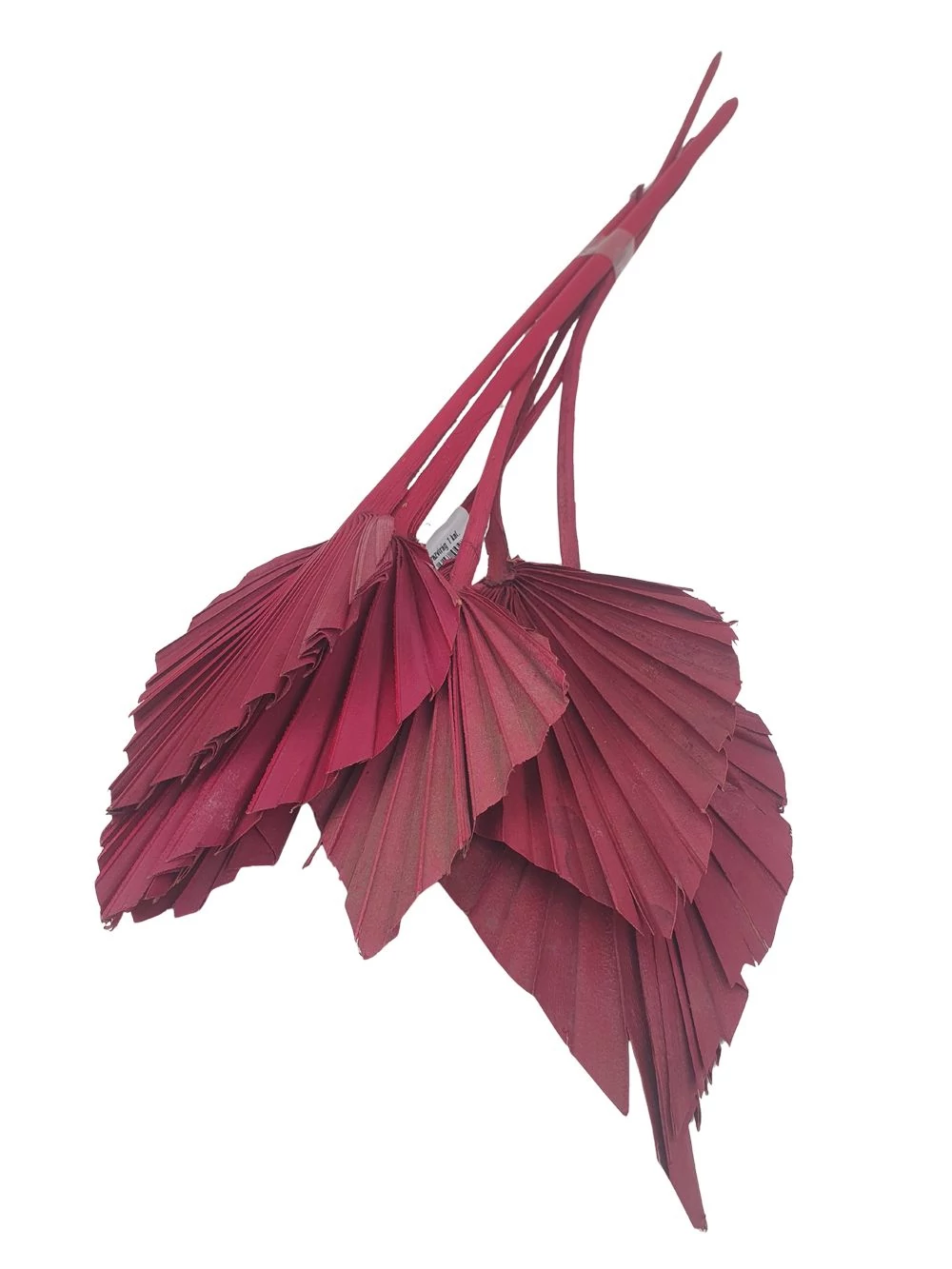 Pálma levél mini - Bordó
