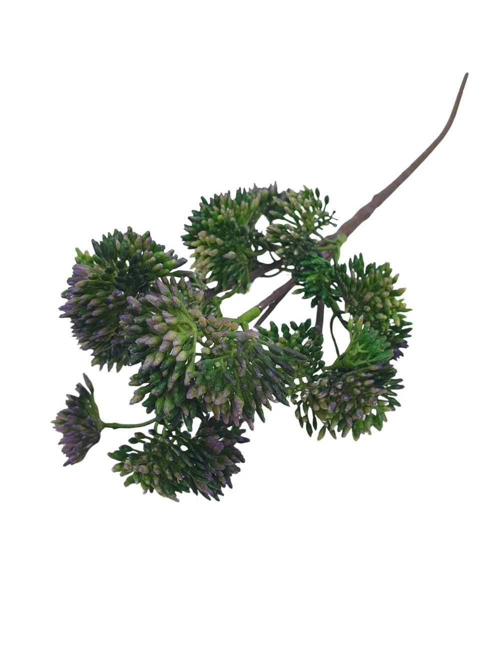 Kép 2/2 - Műzöld édeskömény - Lila