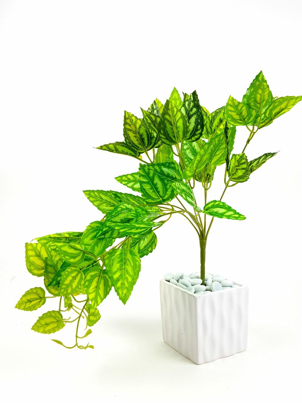 Kép 2/2 - Zöld növény 3