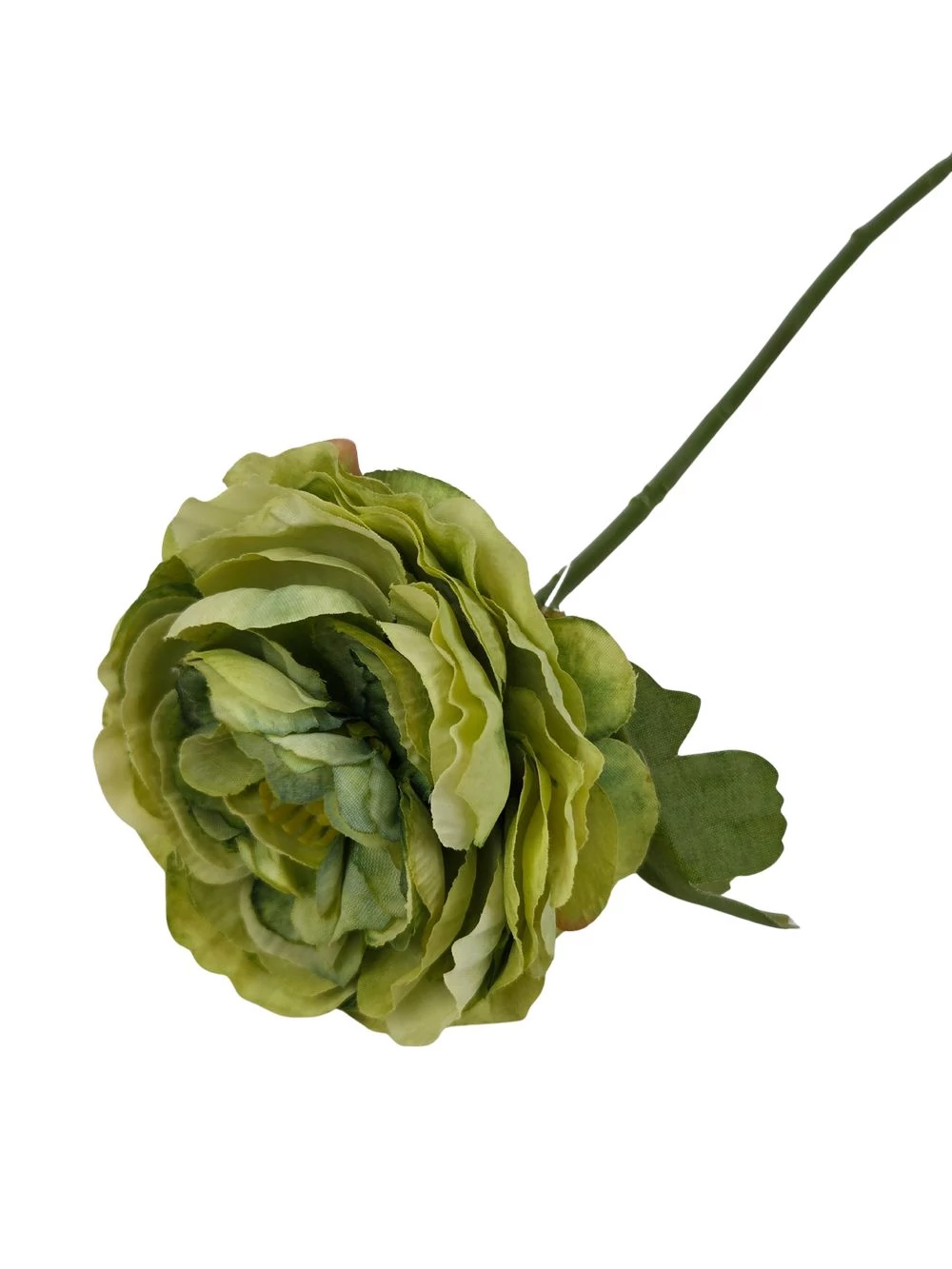 Kép 2/2 - Szálas paeonia - Zöld