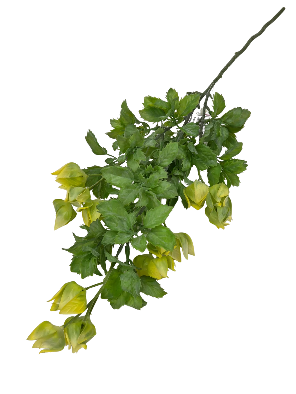 Kép 2/2 - Physalis ág - Sárga
