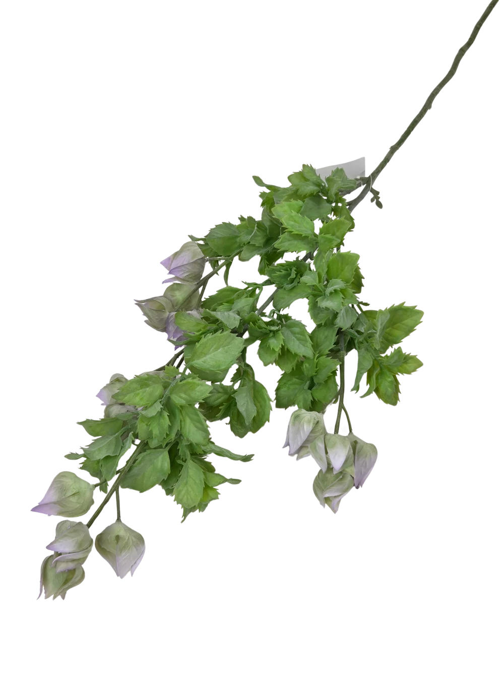Kép 2/2 - Physalis ág - Lila