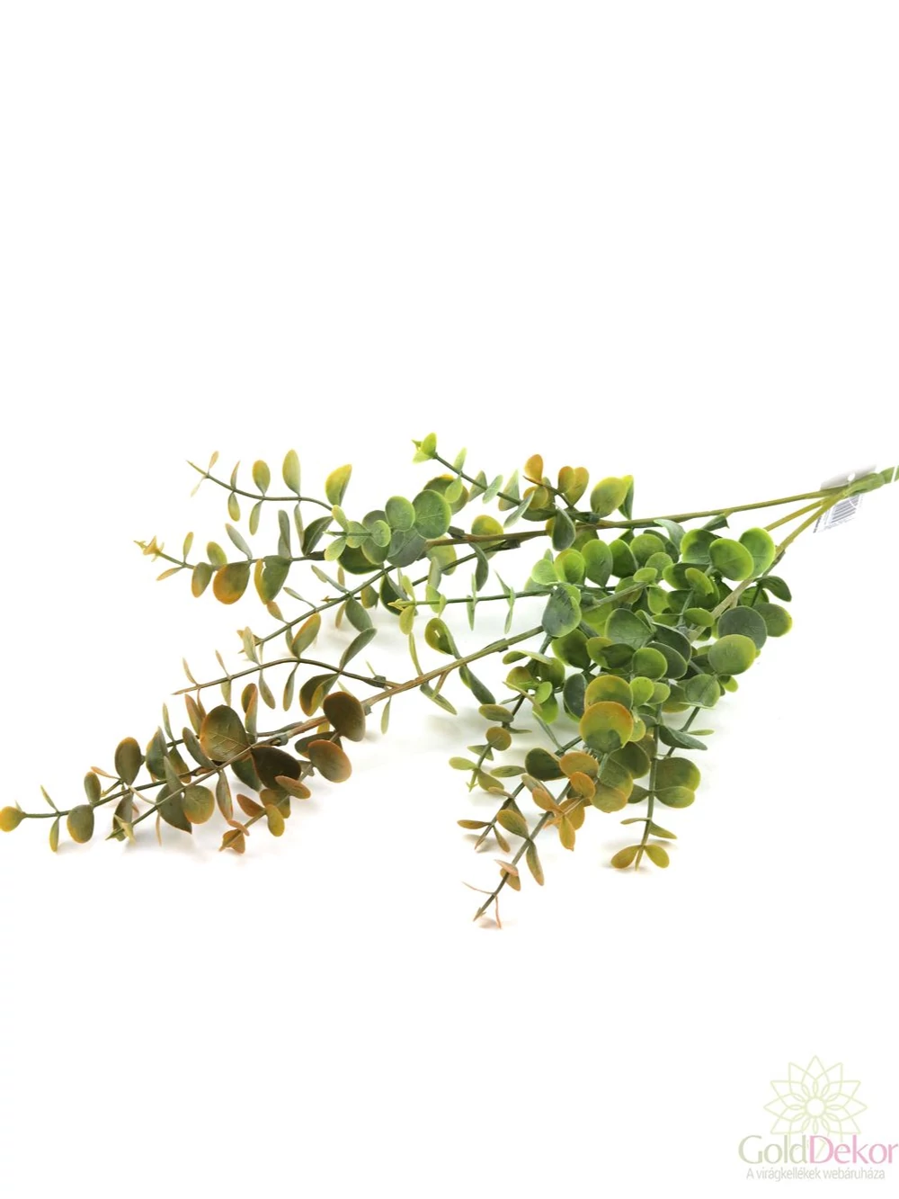 Kép 2/2 - Mini eukalypthus ág - Sárgás zöld