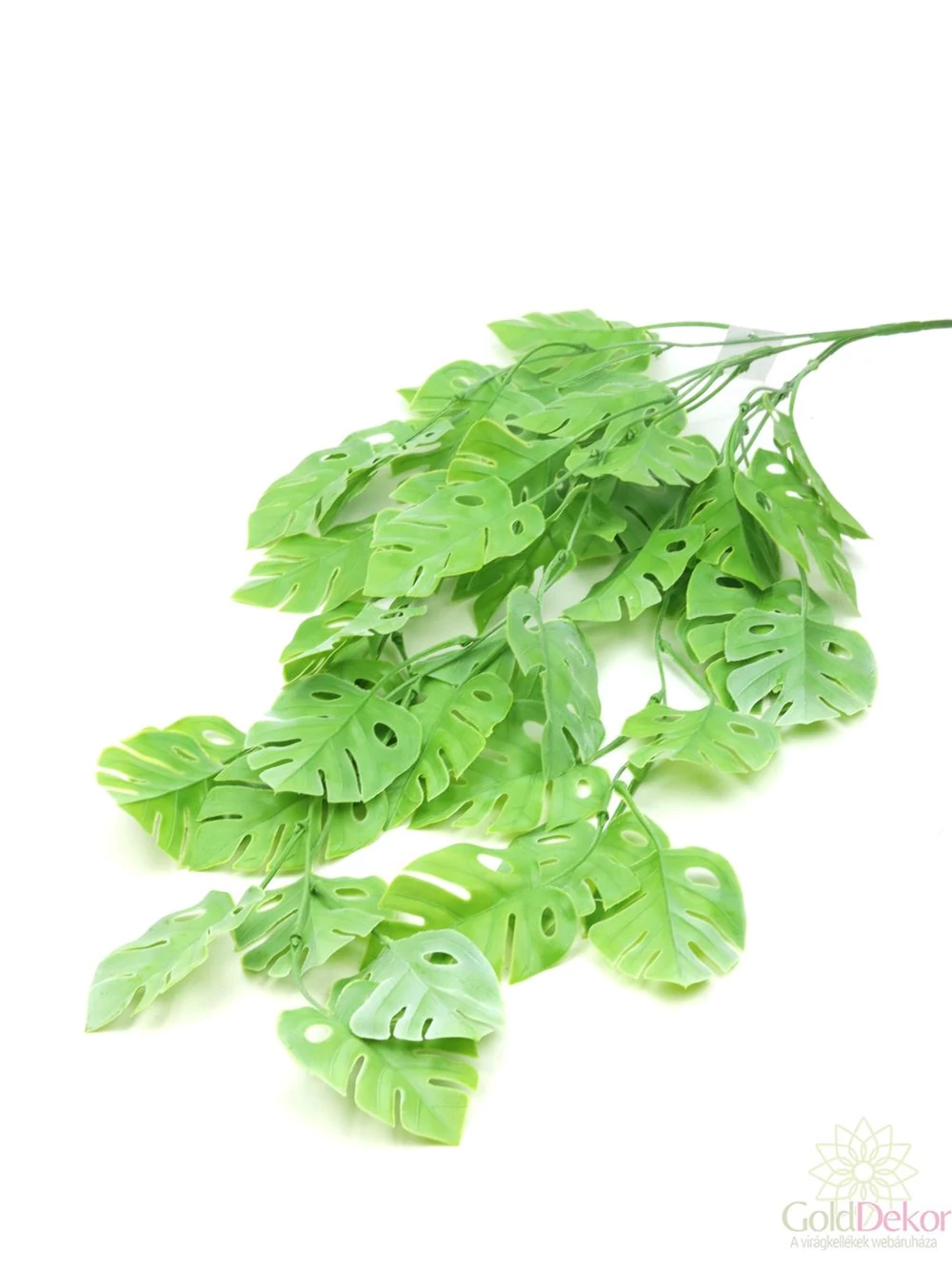 Kép 2/2 - Csüngős monstera - Hamvas zöld