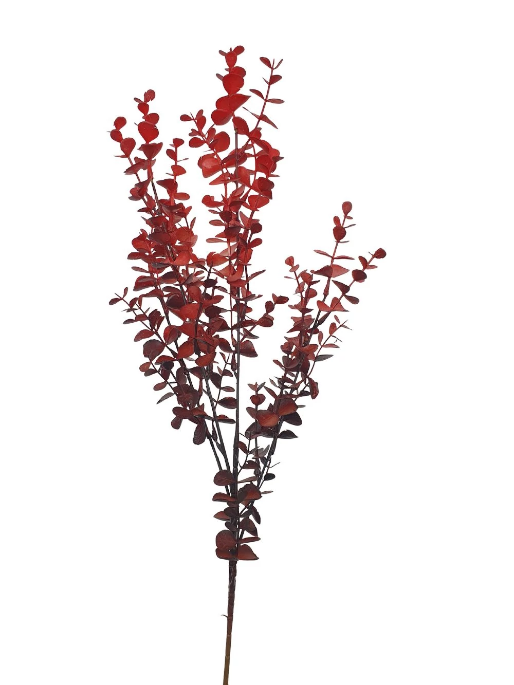 Kép 2/2 - Őszi színátmenetes eukalypthus ág - Bordó