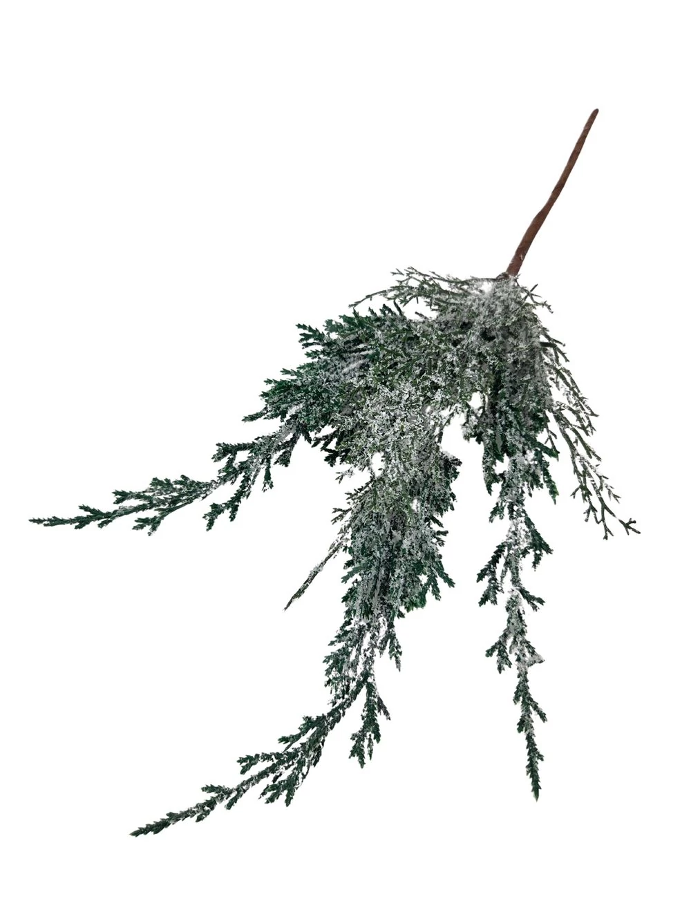 Kép 2/2 - Havas vegyes tuja ág