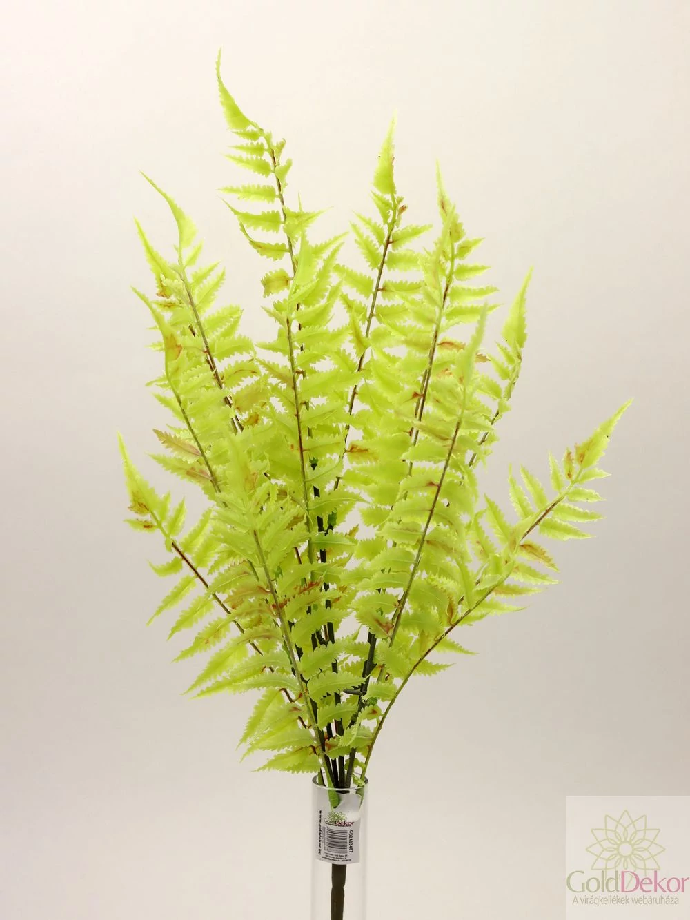 Kép 2/2 - Műzöld páfrány 50 cm - Világos zöld