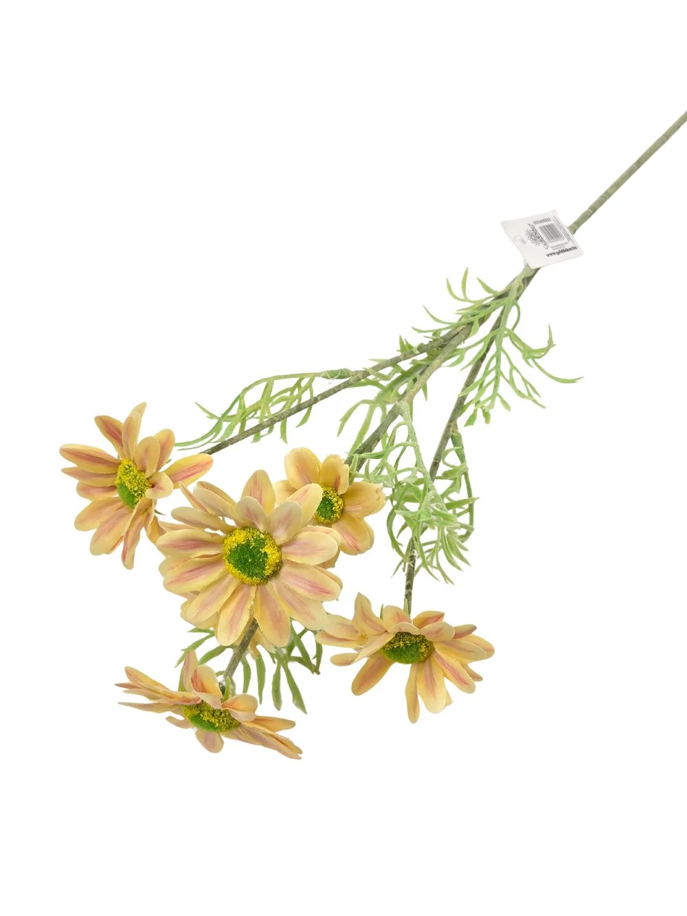 Kép 2/2 - Szálas pillangóvirág - Sárga