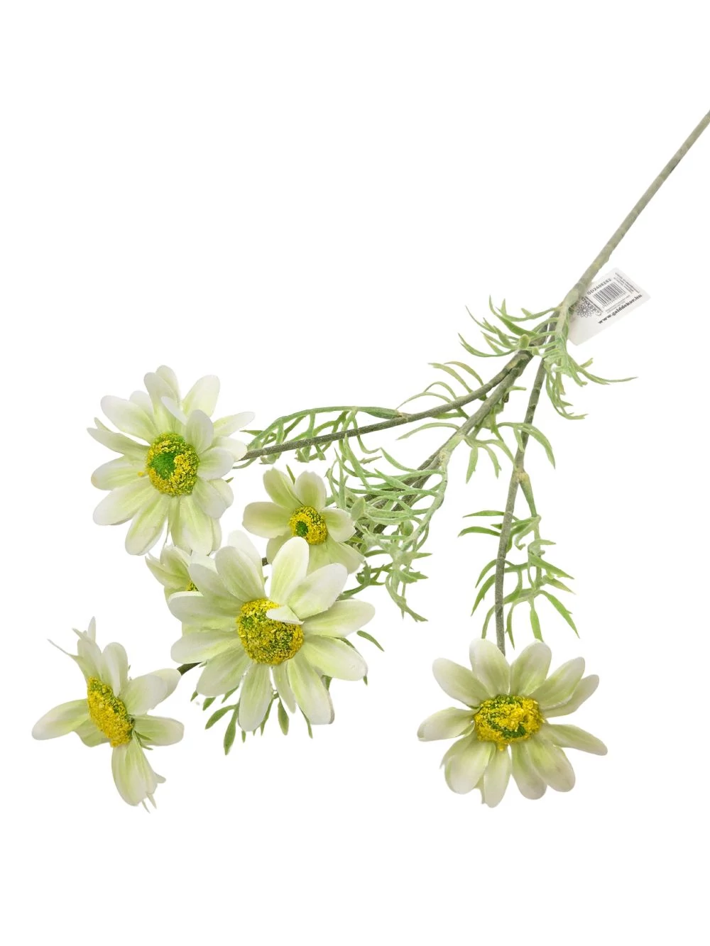 Kép 2/2 - Szálas pillangóvirág - Halvány zöld