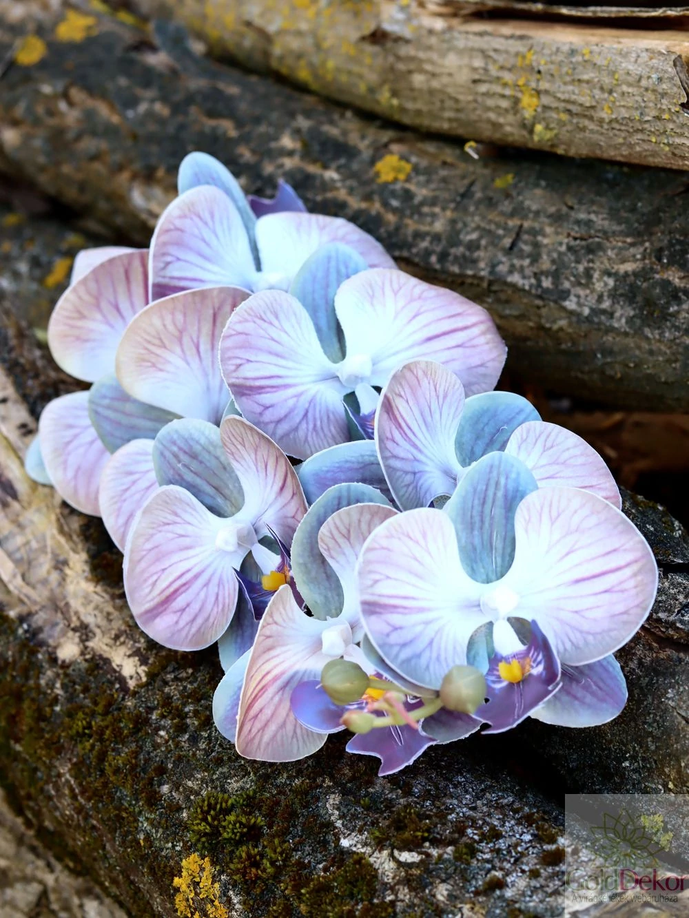 Kép 2/2 - Phalenopsis ág I - Erezett lila