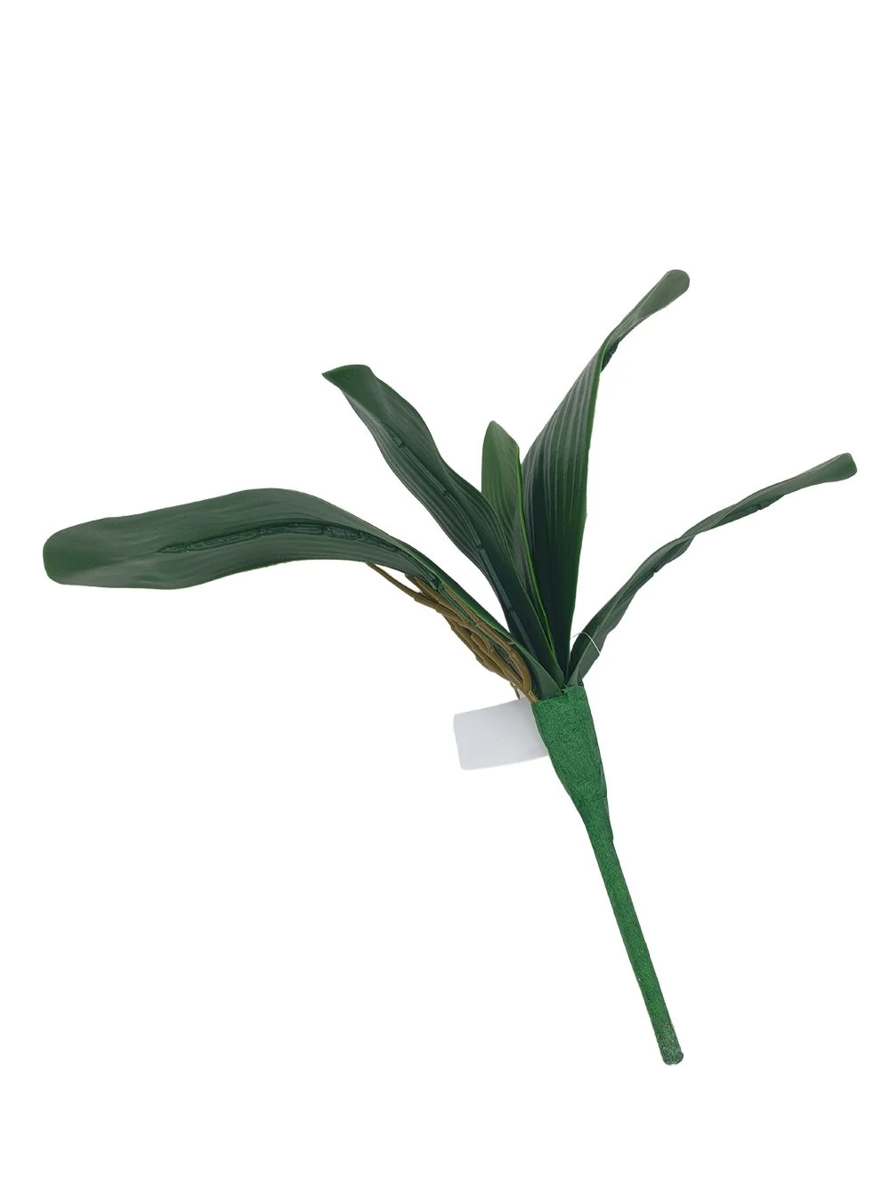 Kép 2/2 - 5 leveles orchidea levél
