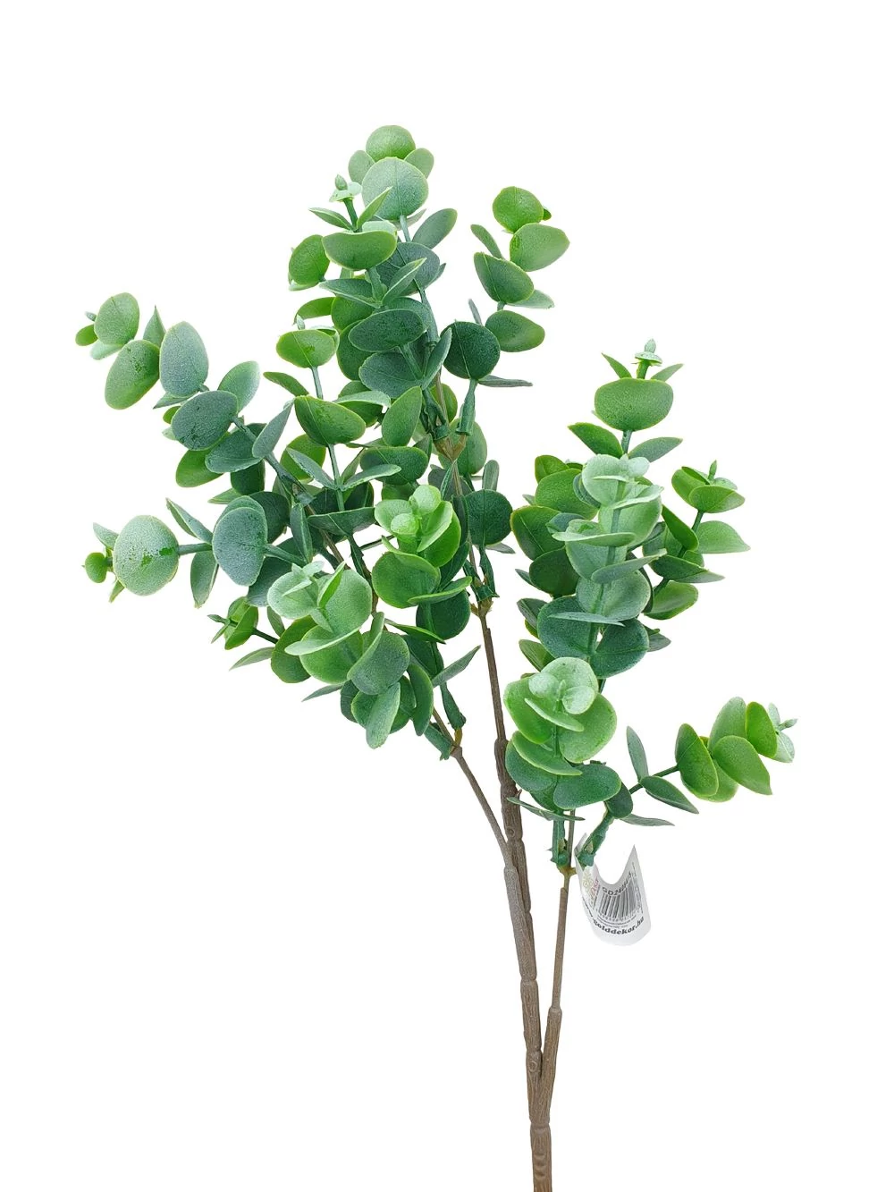 Kép 2/2 - Eukalyptghus ág 50 cm - Zöld