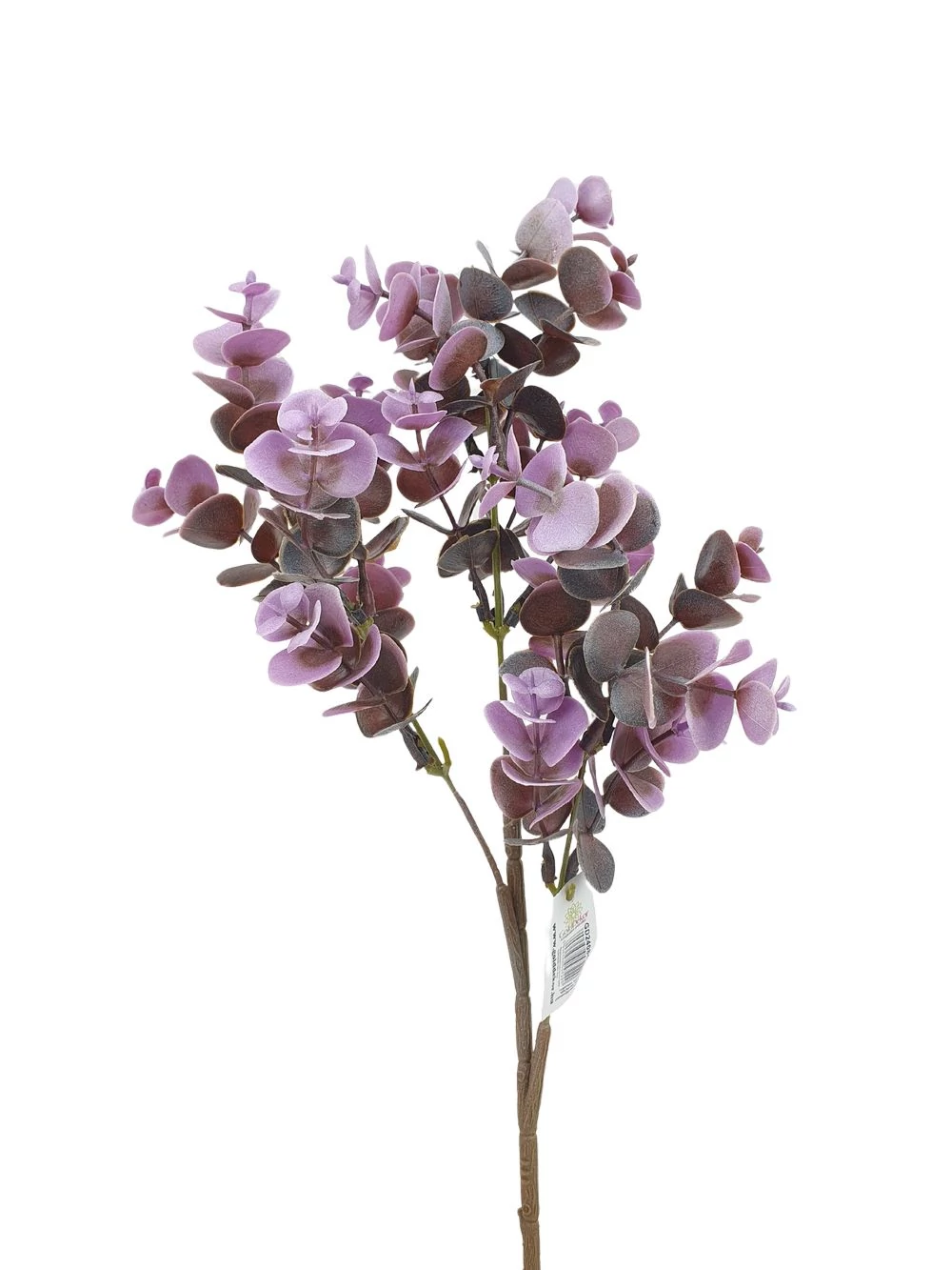 Kép 2/2 - Eukalyptghus ág 50 cm - Lila
