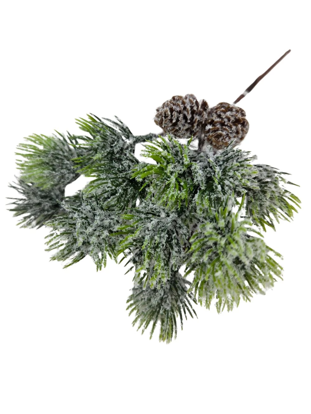 Kép 2/2 - Törpe fenyőág